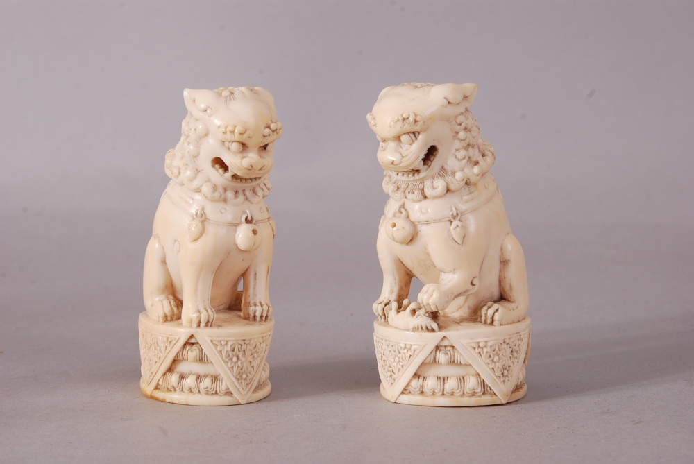 Pair of C18th/19th Chinese ivory Buddhist lions, modelled seated on its haunches and wearing a
