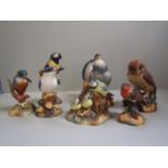 Crown Derby pigeon, Kingfisher x 2, Macaw, owl, bluetit, chickens & robin