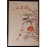 C19th/20th Chinese silk embroidered panel, woven with parrots perched on prunus branches, framed, 36