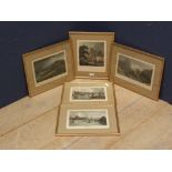 5 colour prints C19th in gilt frames