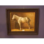 Ebonized framed oil painting study of a grey horse in a stable 30x39cm