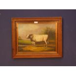 Framed Bovine oil painting of bull in a pastural landscape 29.5cm x 39.5cm