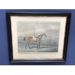 After J F Herring, framed early C19th hand coloured aquatint of the racehorse Memnon, winner of