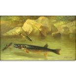 Arnoud Wydeveld, New York/Netherlands (1823 - 1888) Oil on panel "Salmon In River". Signed lower