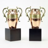 Pair of Continental Style Copper and Brass Urns on Wooden Stands