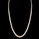 Antique Single Strand One Hundred Six (106) Graduated White Pearl Necklace with