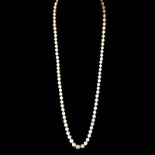 Antique Single Strand Ninety One (91) Graduated White Pearl Necklace with 14 Kar