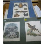 Assorted prints to include colour and monochrome engravings, all unframed but some mounted,