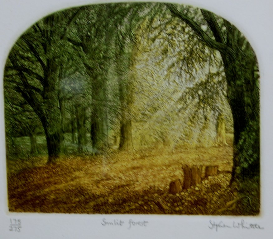 Stephen Whittle - Sunlit forest, coloured etching, signed, and titled in pencil to the margin,