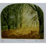 Stephen Whittle - Sunlit forest, coloured etching, signed, and titled in pencil to the margin,