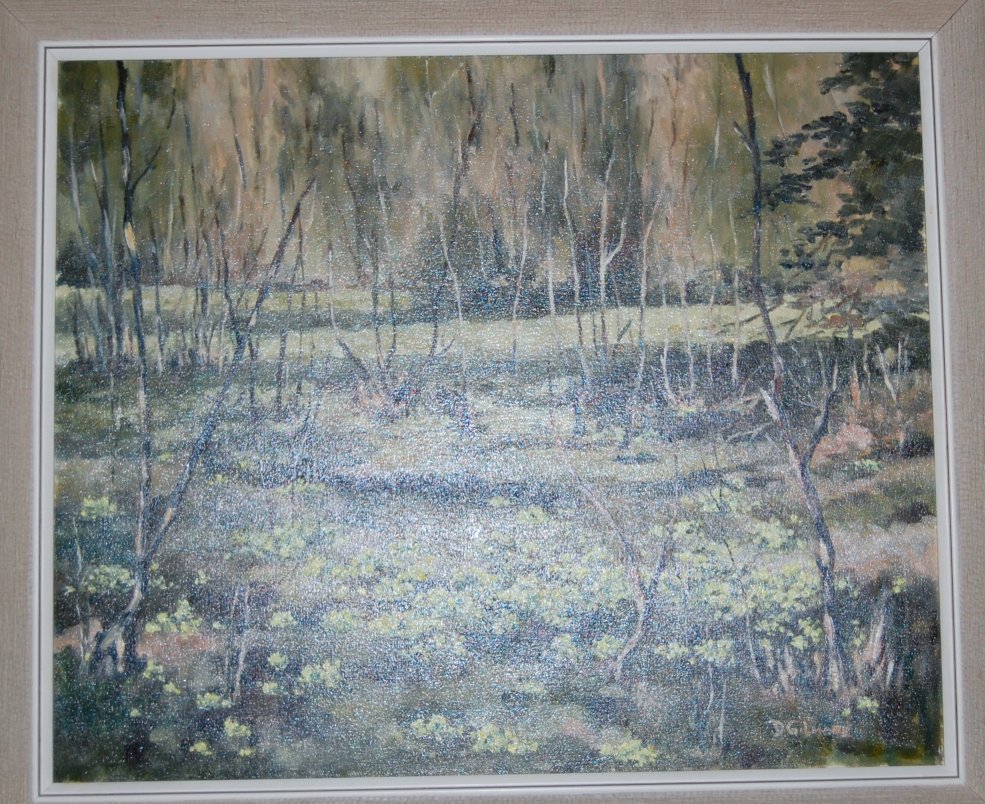 D M Gilmore - Primroses in a wood, oil on canvas, signed lower right,