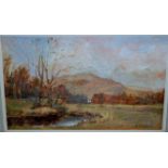 R M Tomlinson - Landscape scene, oil on artists board, signed lower right,