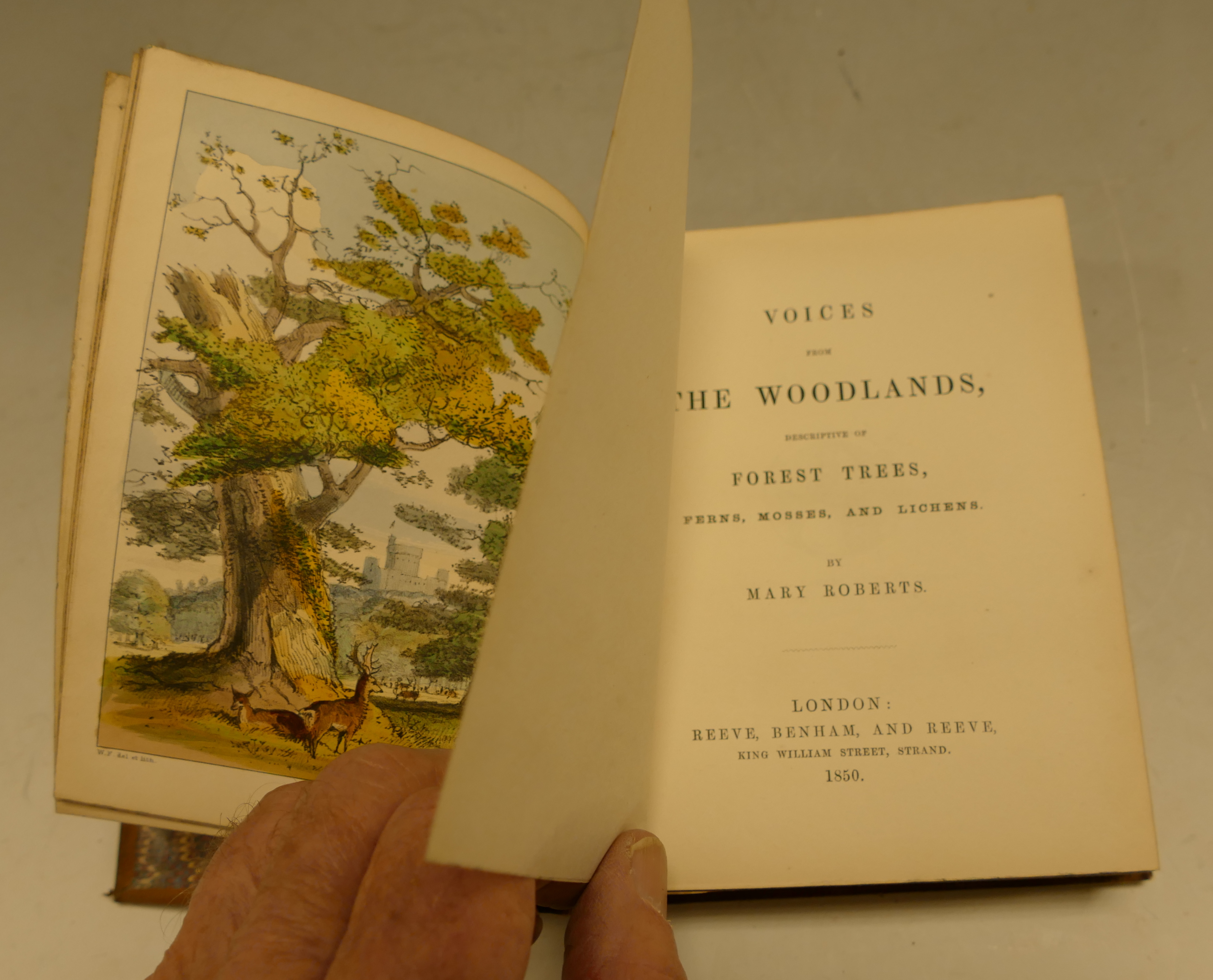 ROBERTS, Mary, Voices from the Woodlands, descriptive of forest trees, ferns, mosses and lichens,