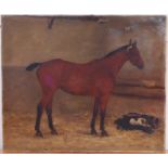 Violet E Sells (later Mrs Whiteman) (1873-1952) - Study of a bay thoroughbred in a stable with