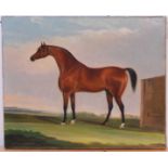 John Robert Hobart (1788-1863) - Study of a thoroughbred horse within a landscape, oil on canvas,