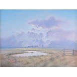 David Dane - Afternoon light, Burgh Castle, Norfolk, oil on canvas, signed lower right,