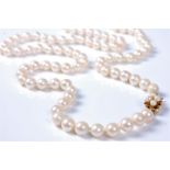 A cultured pearl necklace, the uniform cultured pearls, approx. 6.