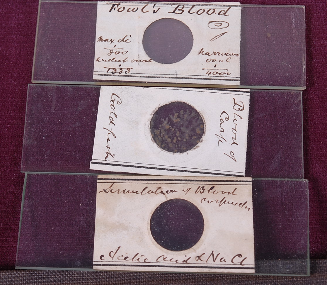 A quantity of specimen slides, the majority annotated and in fitted boxes, - Image 2 of 2