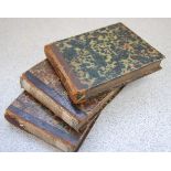 Three untitled oblong albums, 14 x 12cm, containing approx 300 continental lithographed view plates,