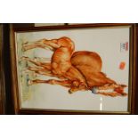 Chris Winch - Set of five watercolours, each being animal studies to include mare and foal,