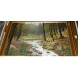 Twentieth century school - Woodland stream, oil on board,