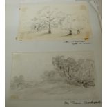 AG Stannard - study of a tree, pencil, inscribed verso 19x14cm, two other pencil drawings,