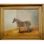 J M Cottam - 'Joe' study of a horse in its stable, oil on canvas (re-lined),