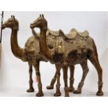 A pair of large Eastern brass models of camels, h.