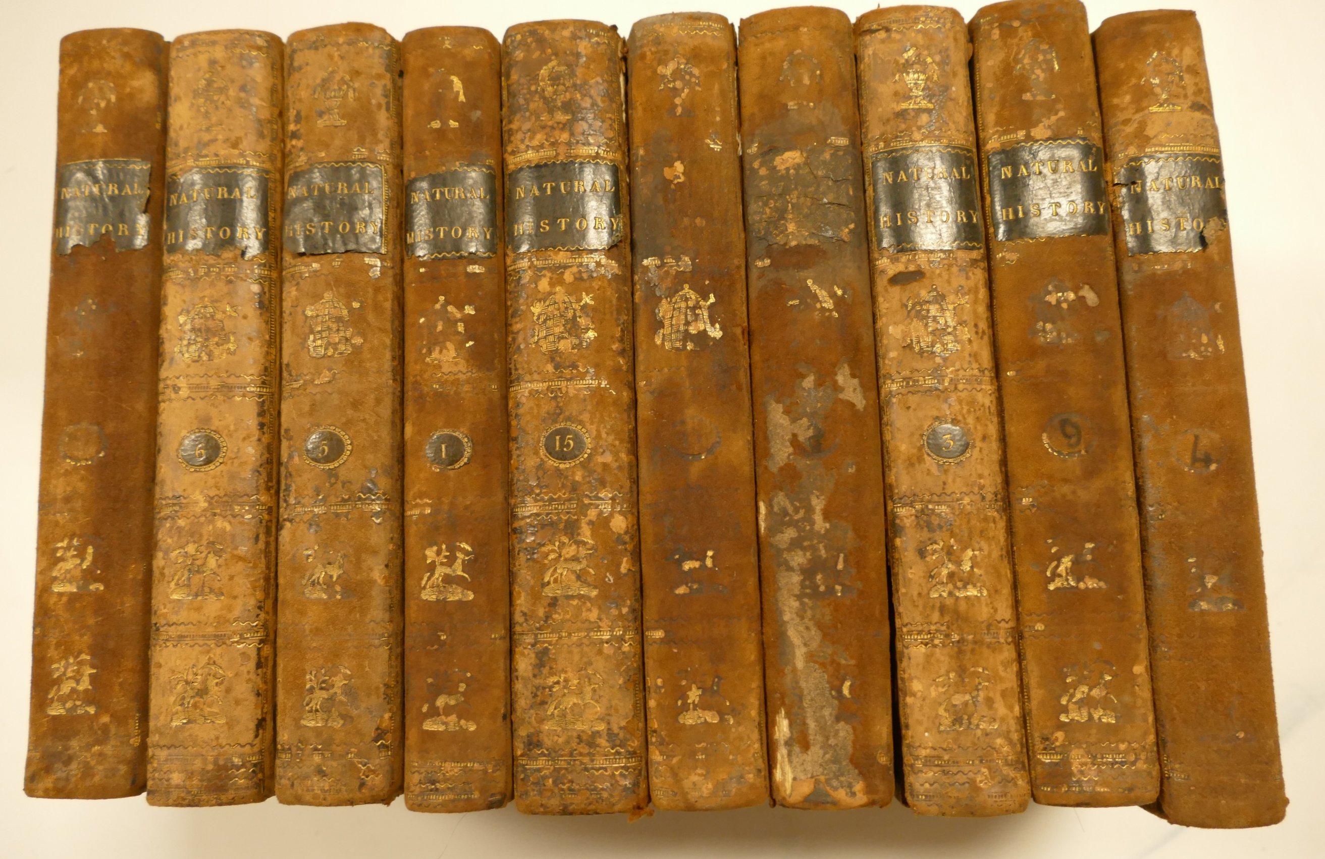 BUFFON's Natural History, London, 8vols (of 10?, lacks vols.