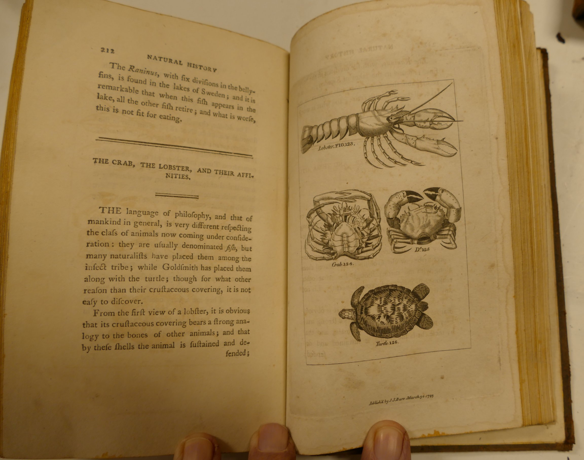 BUFFON's Natural History, London, 8vols (of 10?, lacks vols. - Image 4 of 4