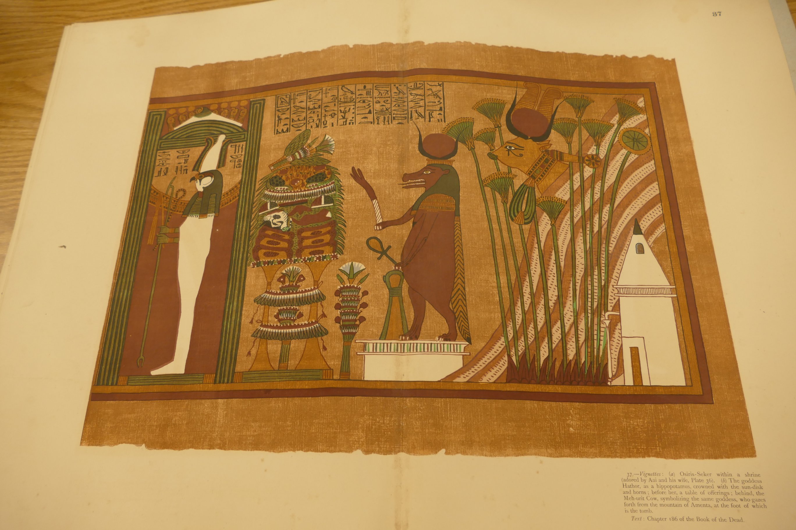 BRITISH MUSEUM, London, The Book of the Dead, 1890, folio, text introduction P. - Image 10 of 11