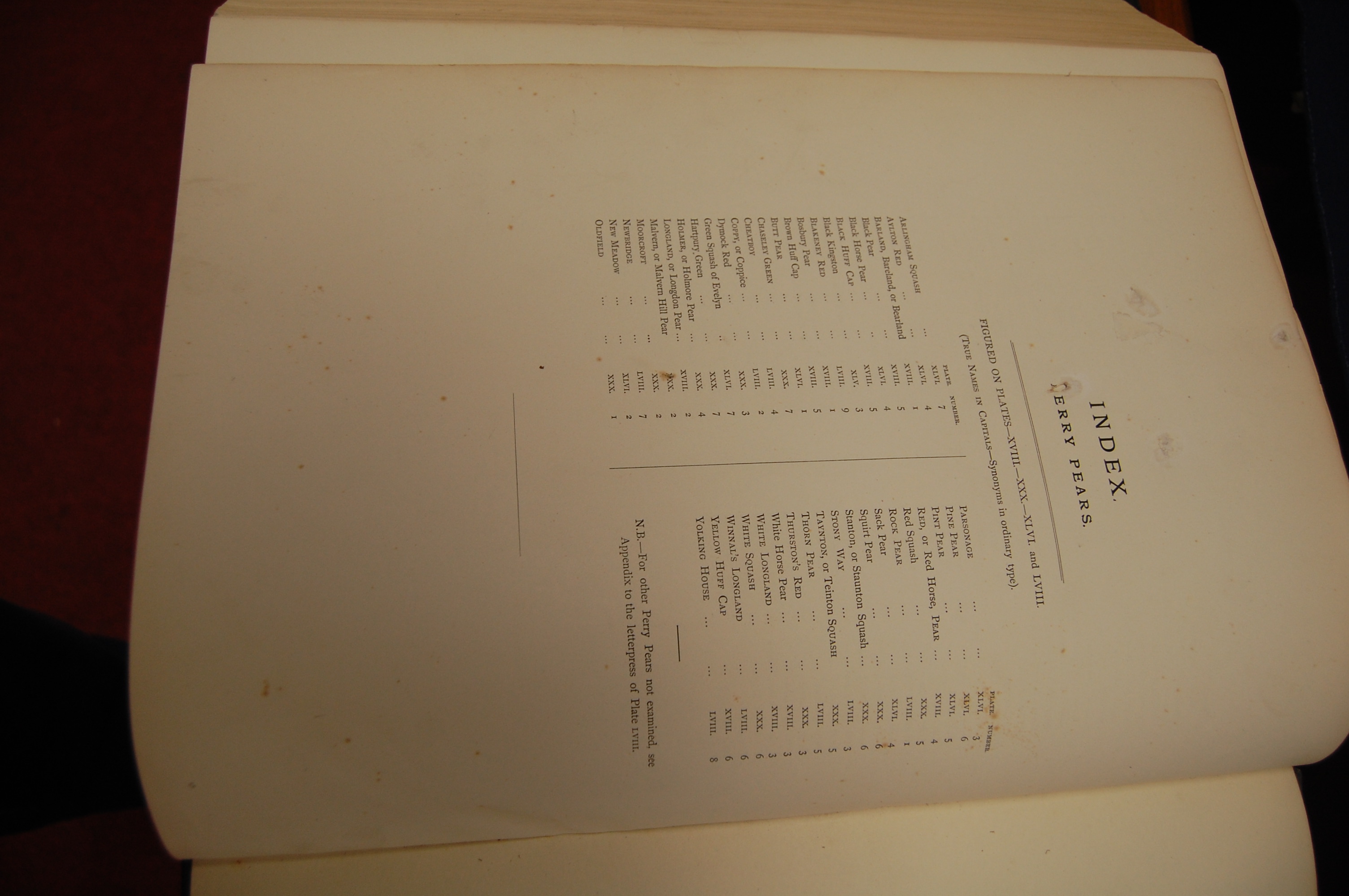 BULL Henry Graves, The Herefordshire Pomona, Hereford and London 1876-1885, 2vols folio, - Image 26 of 26