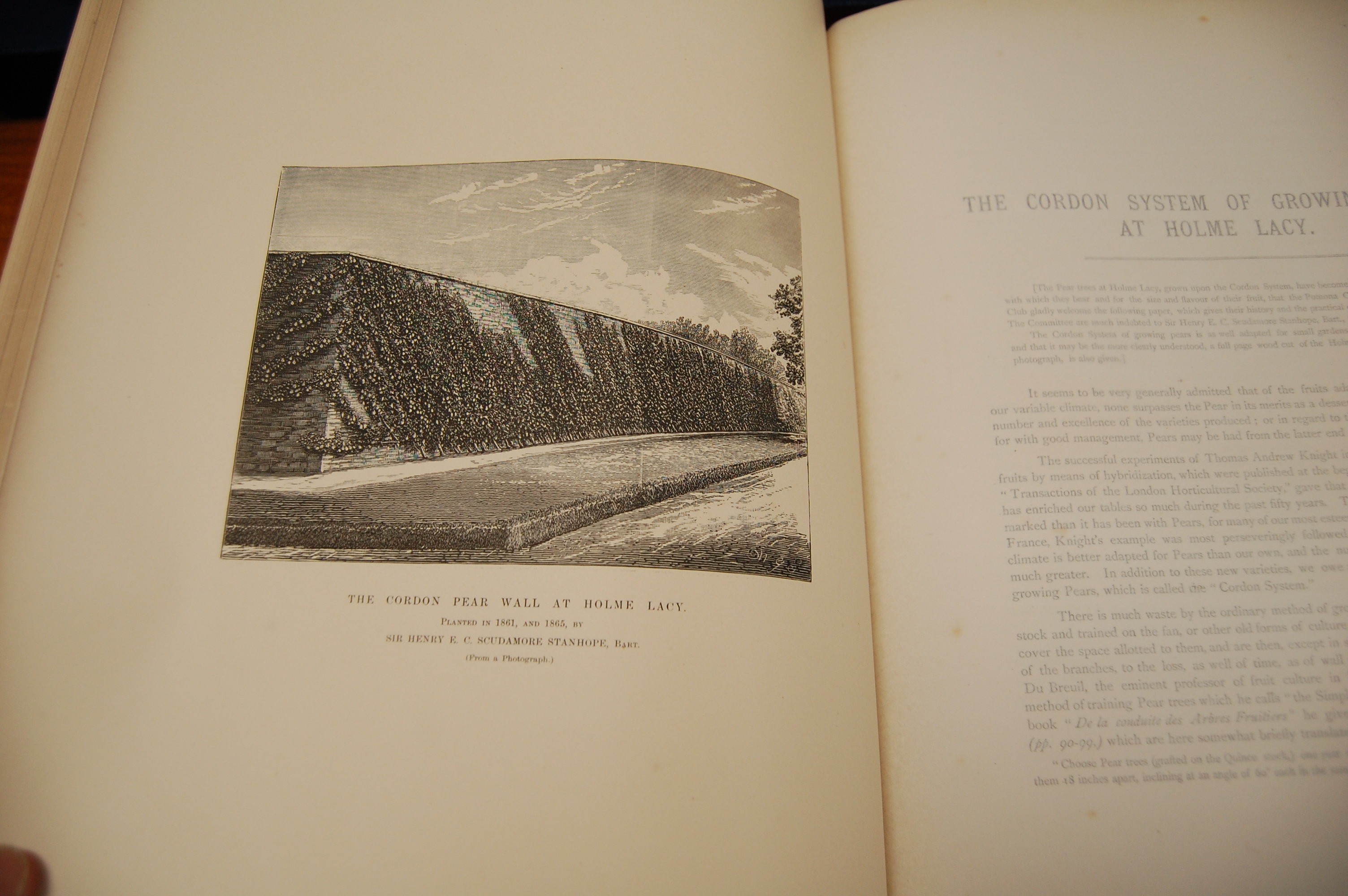 BULL Henry Graves, The Herefordshire Pomona, Hereford and London 1876-1885, 2vols folio, - Image 15 of 26