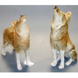 A pair of Lomonosov Russian porcelain figures, Howling Wolf standing, and Howling Wolf sitting,