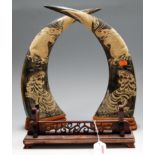 A pair of large cow horns, each carved with a dragon and large cat, with glass eyes, h.