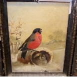 Assorted pictures and prints to include oil on canvas study of a robin