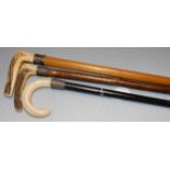 A late 19th century walking stick, having ebony shaft, silver collar, and ivory handle; together