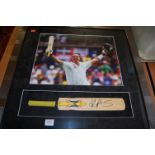 A framed and glazed signed picture depicting Kevin Peterson with signed miniature woodworm bat