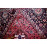 A Persian woollen red ground rug having lozenge shaped central ground within trailing borders,