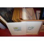 A quantity of framed and unframed but mounted botanical prints