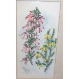 W.E. Coetzee - Foxgloves, watercolour, signed lower left, 34 x 16cm