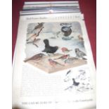 A quantity of Shell wall calendars, to include Nature Studies