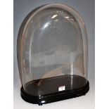 A Victorian glass dome on ebonised oval plinth, approx h.43cm (including plinth)