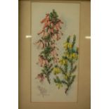 W.E. Coetzee - Foxgloves, watercolour, signed lower left, 34 x 16cm