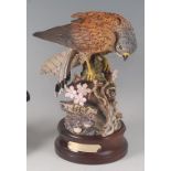 A Royal Douton kestrel (Falco Tinnunculus), DA144, modelled by J.G. Tongue, No.68/950, on plinth,