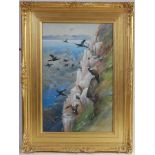 Charles Whymper (1853-1941) - Pelicans on a cliff face, watercolour with body colour, signed and