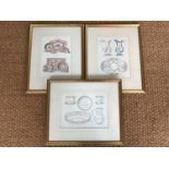 Three uniformly framed bookplates depicting Sevres porcelain designs, 32 x 22 cm
