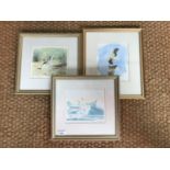 Bruce Pearson (Contemporary) Three ornithological watercolour studies, each framed and mounted under