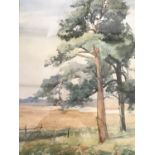 Dorothy Prickett (nee Davis) (Exh. 1905-1940) Study of trees, watercolour, framed and mounted