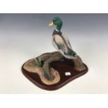 A Border Fine Arts Mallard figurine, A0477